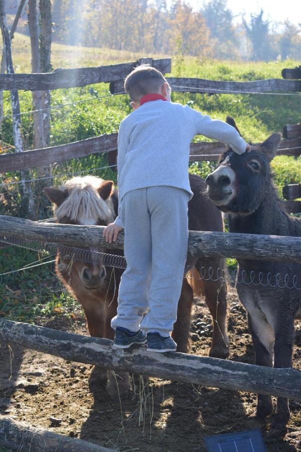 Tenuta I Musi Lunghi Lesignano de' Bagni Exteriér fotografie